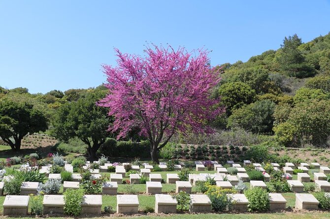 2-Day Gallipoli and Troy Tour from Istanbul and return - Price and what makes this 2-day combo feel worth it