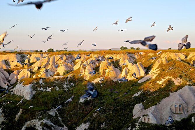 2 Days Cappadocia Red and Green Tour from Istanbul by Flight - Day 1: Pasabag monks’ valley, Devrent’s rock animals, and Göreme’s rock churches