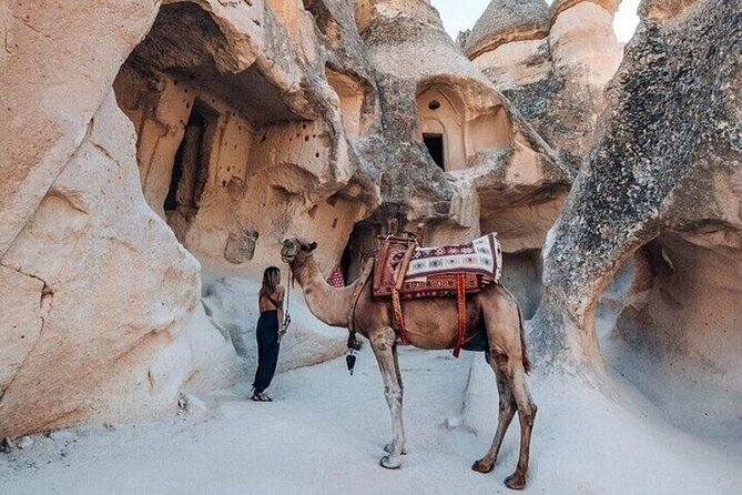 2 Days Cappadocia Trip Including Camel Ride & Balloon Ride - Devrent Valley and the Fairy Chimneys: animal shapes and photo time