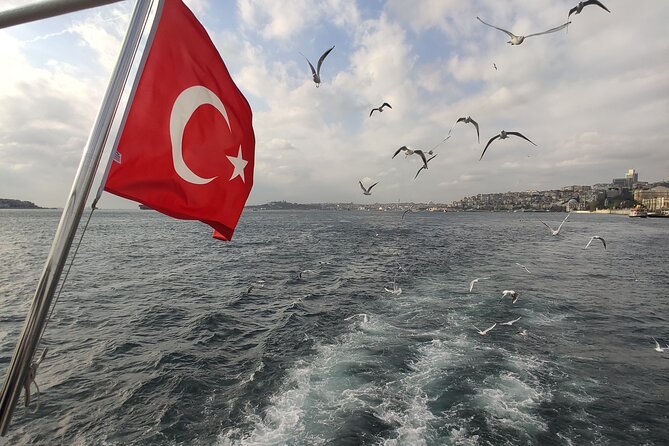 2-Hour Bosphorus Cruise in Istanbul with Guide - Who should book this cruise (and who should skip it)