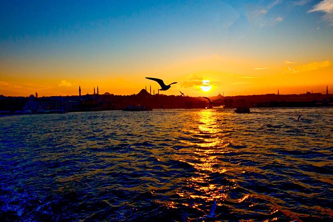 2-Hour Private Luxury Yacht Cruise on Bosphorus with Transfers - Stop-by-stop views that you’ll recognize fast