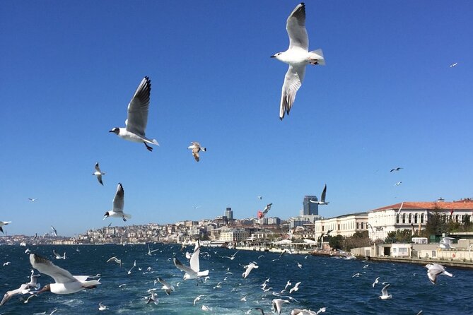 2-Hour Private Luxury Yacht Cruise on Bosphorus with Transfers - Topkapi Palace to Maiden’s Tower: where the guide really earns their fee
