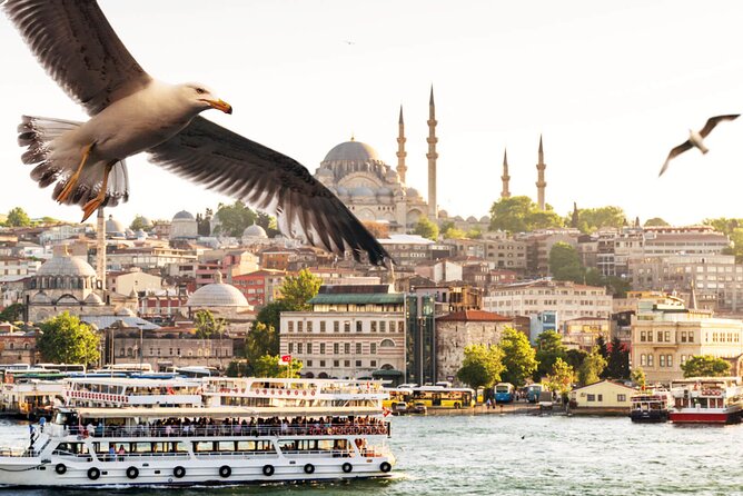 Asian Side of Istanbul Tour - Half-Day Small Group Tour - A four-hour Asian side route that feels balanced