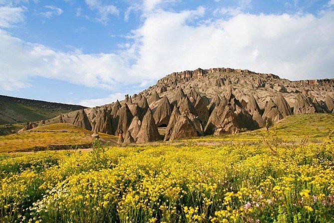 Best Turkey 8-Day Tour: Istanbul, Cappadocia, Pamukkale, Ephesus - What $2,759.35 covers: flights, hotels, entrance fees, and food