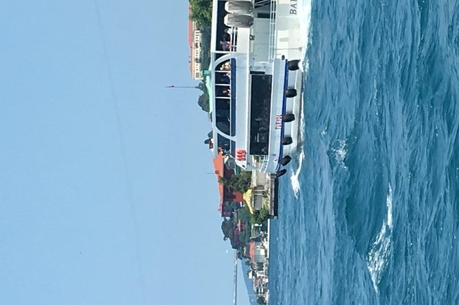 Bosphorus Cruise With Dolmabahçe Palace and Fortresses - Dolmabahçe + Bosphorus in 5 hours: a good Istanbul shortcut