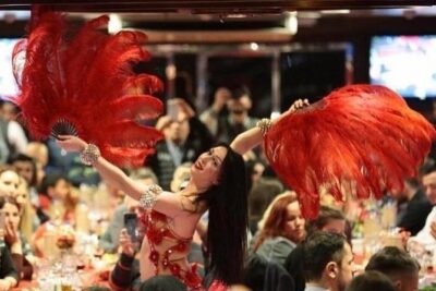 Bosphorus Dinner Cruise and Turkish Night Show with Private Table - The route: Bosphorus by night plus palaces and castles