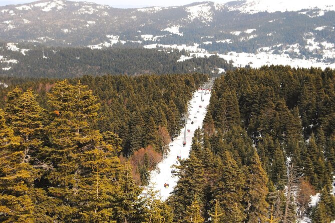 Bursa City and Uludag Mountain Day Trip with Pick up & Cable Car - Tour format and guide impact: private group, mixed pacing