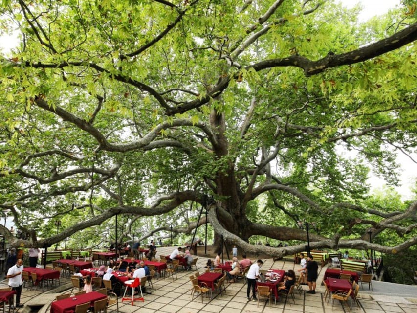 Bursa Full Day Sightseeing Tour from Istanbul - BBQ lunch on the mountain: Simple, filling, and timed for sightseeing