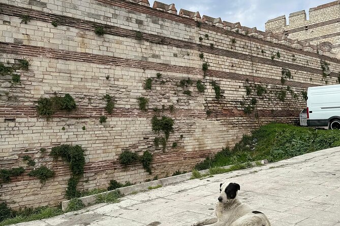 Byzantion Walk Path and City Walls of Istanbul - Price, group size, and what you’re really paying for