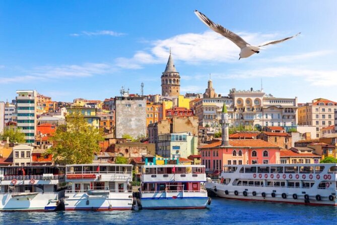 Cultural Taste of Turkey 5N/6D - Bosphorus cruise plus Çiçek Pasajı: a street-food Istanbul day done right