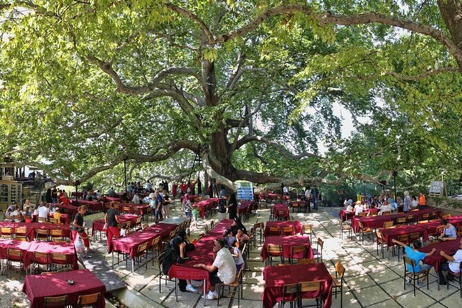 Daily Bursa Uludag Mountain & Cable Car Tour with Lunch from Istanbul - Yalova stop: a quick reset and the option to go loud