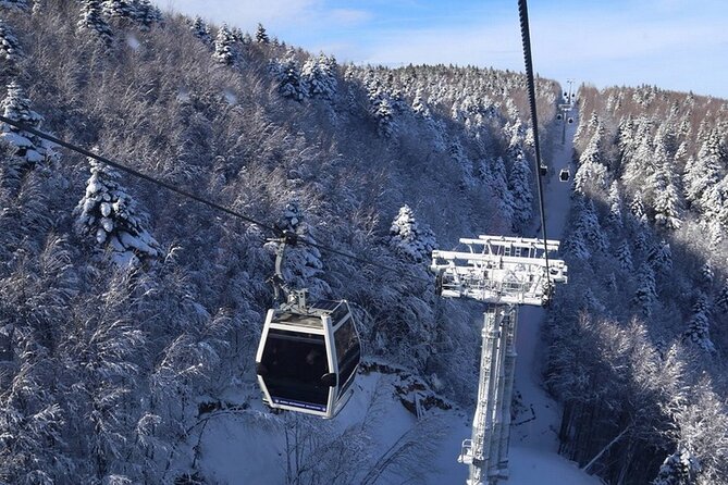 Daily Bursa Uludag Mountain & Cable Car Tour with Lunch from Istanbul - Inkaya’s Grand Plane Tree: a big stop for a small chunk of time