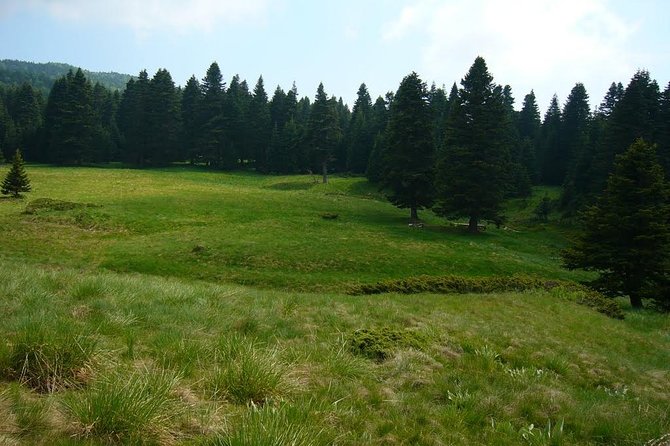 Daily Green Bursa Tour From Istanbul - Guide and Language: Arabic-Speaking Is Provided