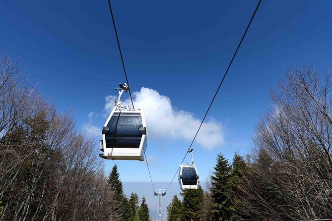 Daily Green Bursa Tour From Istanbul - Group Size, Time at Stops, and Why the Day Feels Long