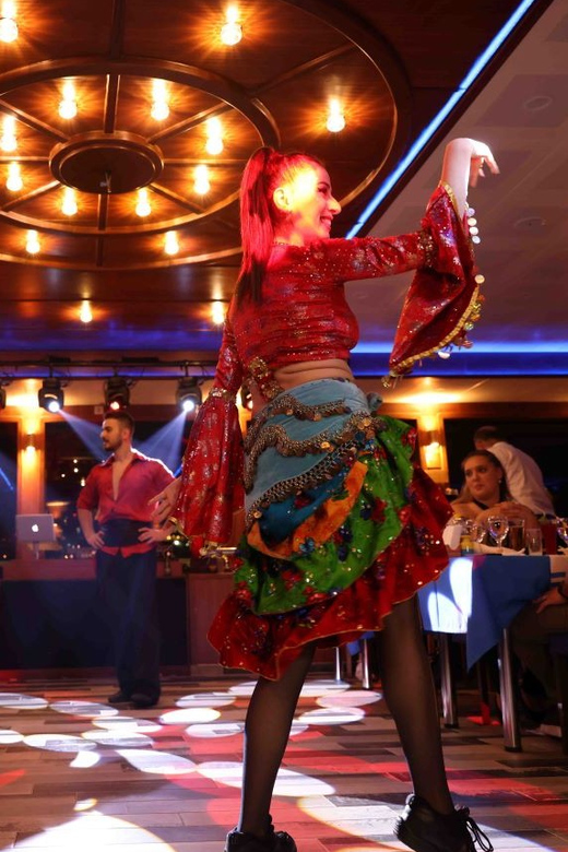 From Istanbul: Bosphorus Dinner Cruise Tavern & World Show - Who Should Book This Cruise (and Who Should Skip It)