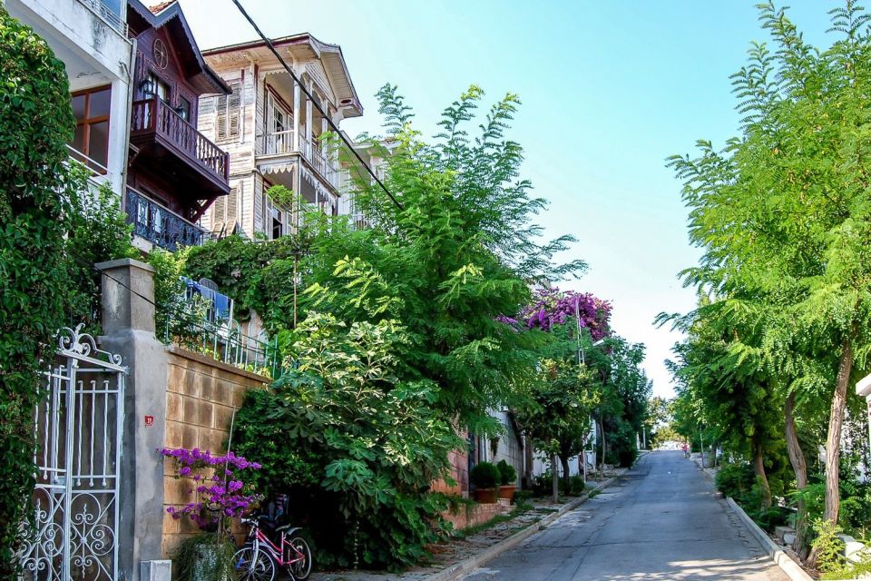 From Istanbul: Full-Day Princes Island Tour with Lunch - The Sea of Marmara Cruise: Istanbul Views While You Still Have Them