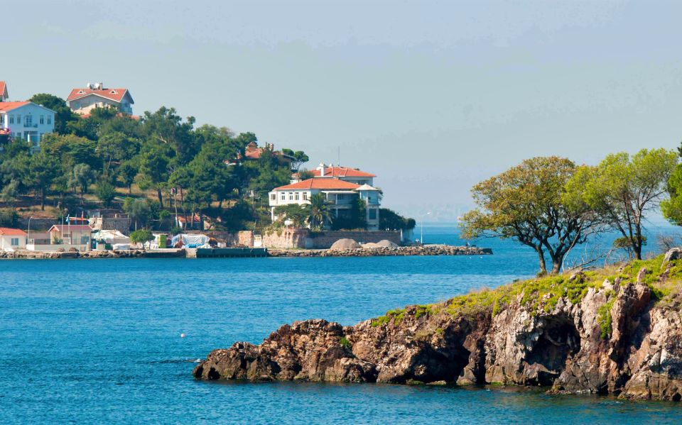 From Istanbul: Full-Day Princes Island Tour with Lunch - The Return Cruise and the Short Istanbul Stop