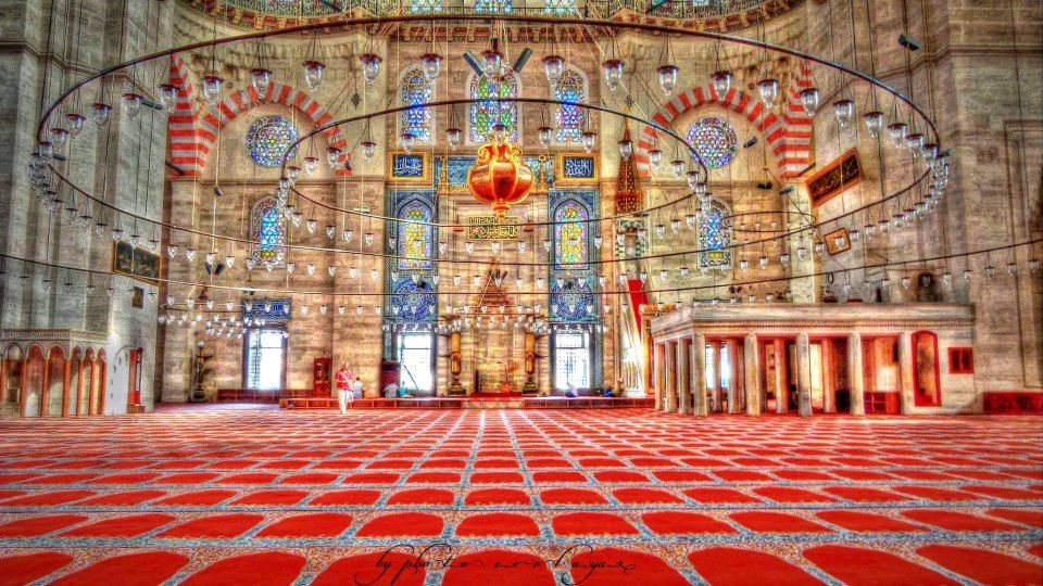 From Istanbul: Green Bursa Full-Day Excursion - Key highlights you’ll feel the moment you arrive