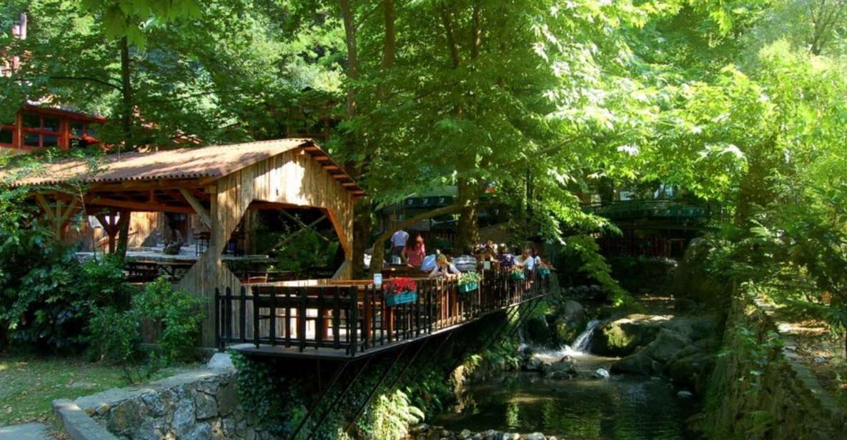 From Istanbul: Guided Day Trip to Sapanca and Masukiye - Hotel Pickup to Sapanca: The Drive That Sets the Tone