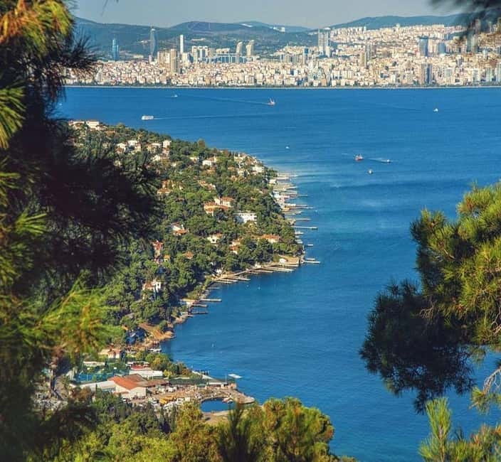 From Istanbul: Princes Island Tour with 2 Islands - How you get around once you’re on the island