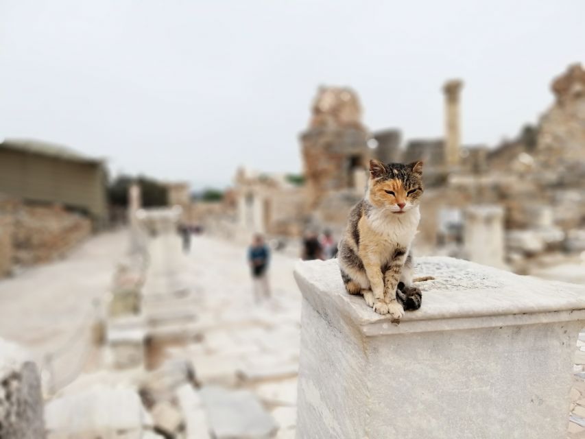 From Istanbul: Private Guided Day Trip to Ephesus with Lunch - Why this Ephesus day trip works (even when it’s long)