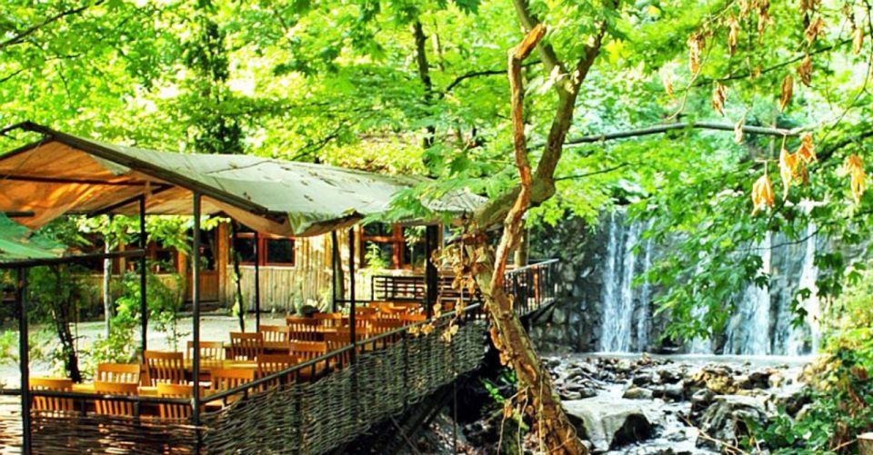From Istanbul: Sapanca and Masukiye Day Trip with Lunch - Mahmudiye zipline, water activities, and the cable car view break