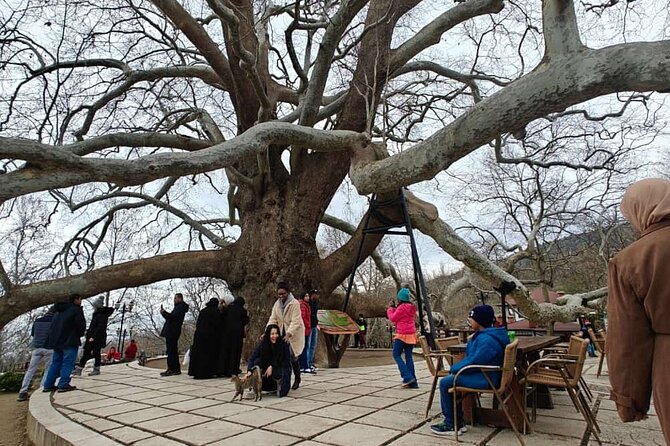 Full Day Guided Tour to Bursa and Uludag - The İnkaya plane tree and why it works in the schedule