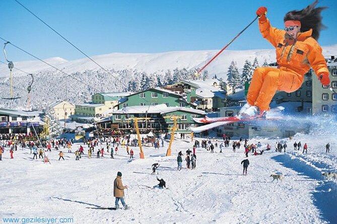Full Day Guided Tour to Bursa with Lunch and Cable Car - Inkaya Tarihi Cinar: A Quick Photo Stop with Big Age Energy