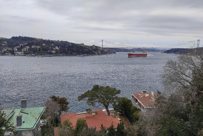 Full Day Istanbul Bosphorus Cruise and Dolmabahce Palace Tour with Private Guide - Bosphorus cruise time: where the city becomes understandable