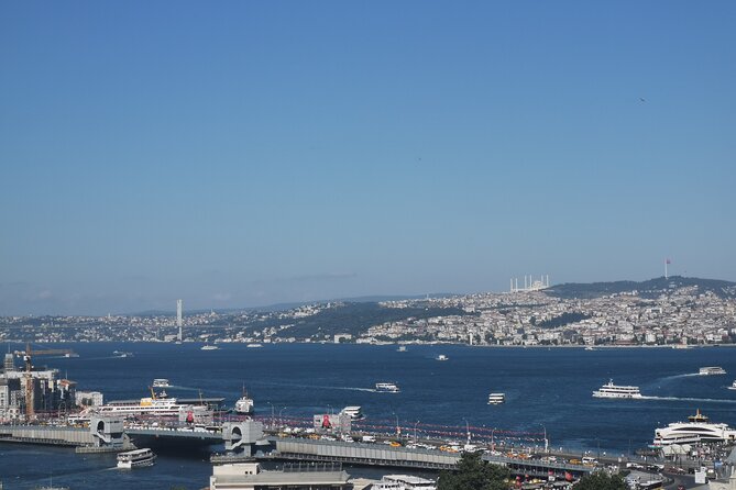 Full Day Istanbul Bosphorus Cruise and Dolmabahce Palace Tour with Private Guide - Price and value: how $250 per group can make sense