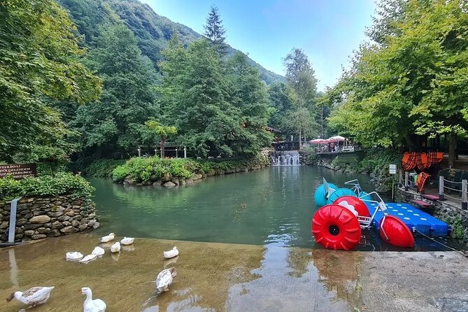 Full Day Tour in Sapanca & Masukiye from Istanbul - A day trip to Sapanca and Maşukiye: what this tour delivers