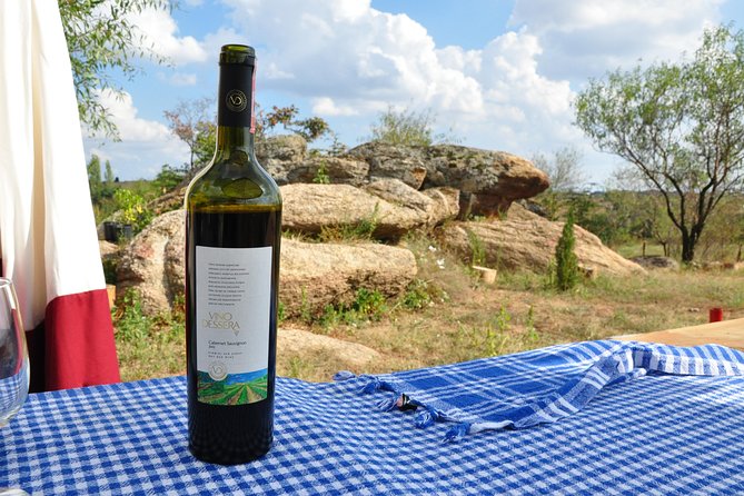 Full-Day Wine Tour from Istanbul - Getting there from Istanbul: pickup, coach time, and the 12-hour reality