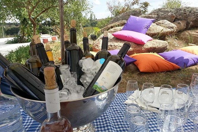 Full-Day Wine Tour from Istanbul - Poyrali village stop: a quiet break before the first pours