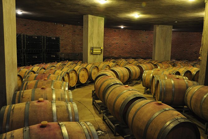 Full-Day Wine Tour from Istanbul - Chateau Nuzun and organic production: French oak aging and judgment skills