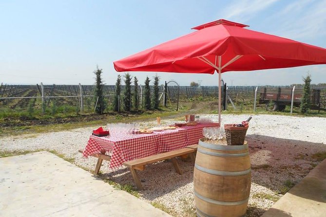 Full-Day Wine Tour from Istanbul - Vino Dessera: the Thracian wine corridor and an attention-grabbing Sauvignon