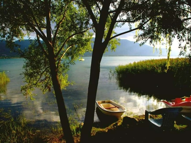 Guided Day Trip to Sapanca and Masukiye From Istanbul - Key Highlights You’ll Actually Feel During the Day