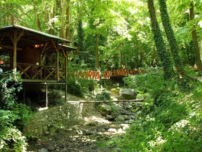 Guided Day Trip to Sapanca and Masukiye From Istanbul - Masukiye Waterfall: Nature Time With Photo Opportunities