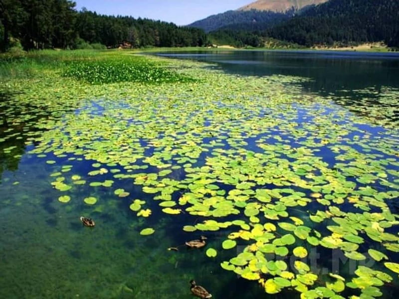 Guided Day Trip to Sapanca and Masukiye From Istanbul - Sapanca Lake: The Serene Stop You’ll Want More Time At