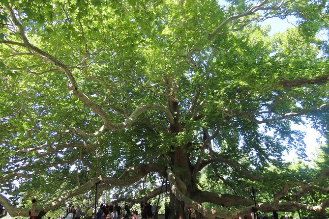 Guided Green Bursa Tour with Cable Car From Istanbul to Uludag - A Long Bursa-and-Uludag Day That Still Feels Planned