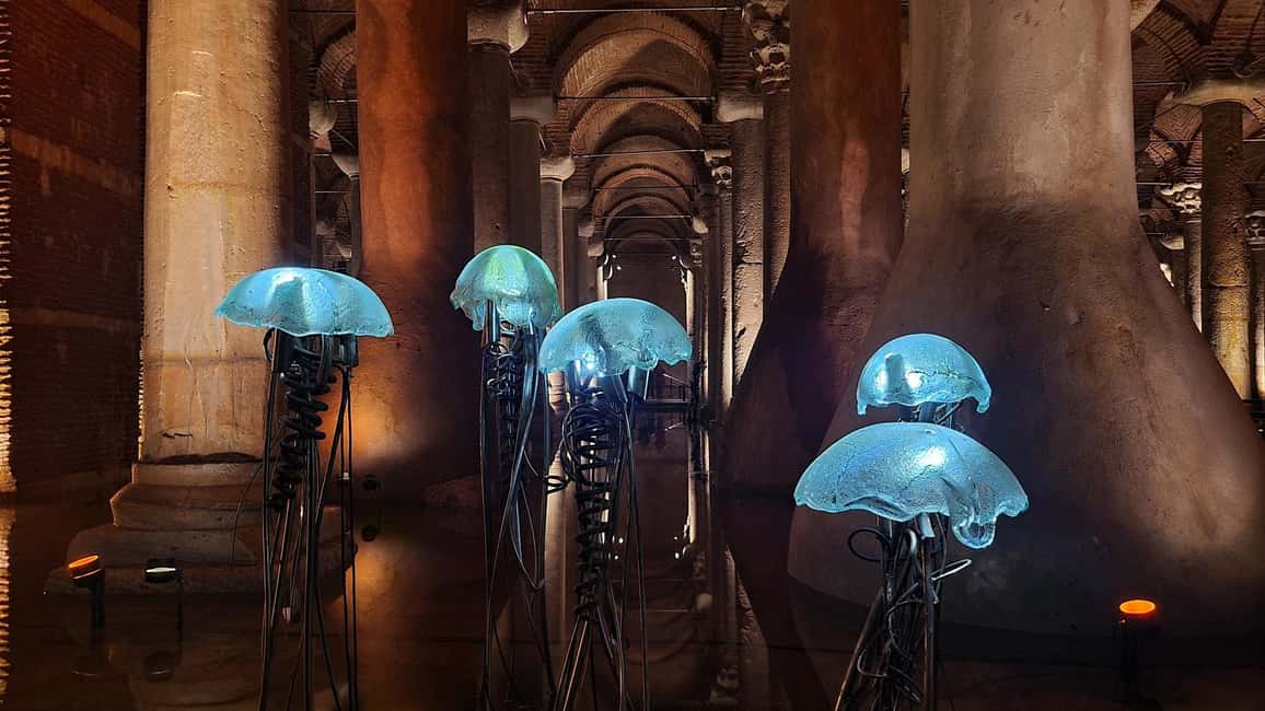 Hagia Sophia & Basilica Cistern Guided Tour Incl. Tickets - The Basilica Cistern: Subterranean Palace, up close