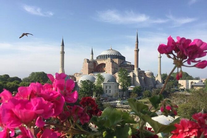 Hagia Sophia Group Tour ( Licensed Guide) - Why a 40-minute Hagia Sophia tour works so well