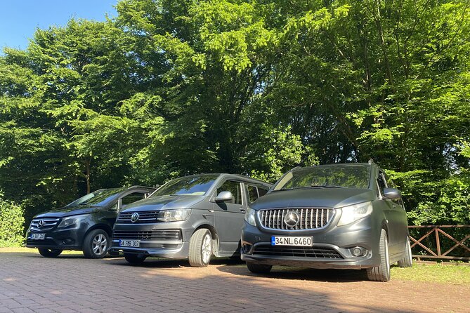 İstanbul Airport and Hotel Transfer - Should you book this Istanbul airport transfer?