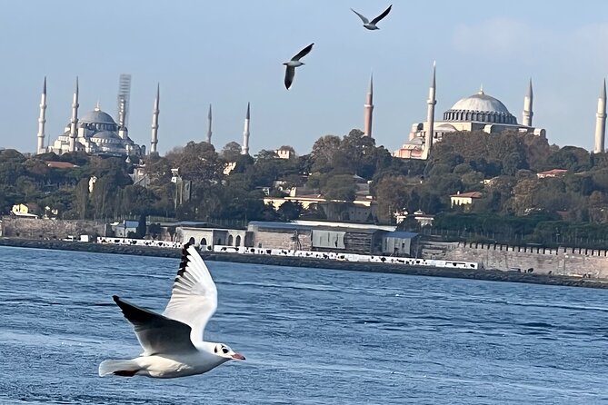 Istanbul Airport or Cruise Ship Private Layover Tour - Stop 1 in practice: your Istanbul start point and first orientation