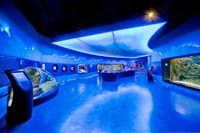 Istanbul Aquarium and Aqua Florya Independent Shopping Trip - Key Highlights at a Glance