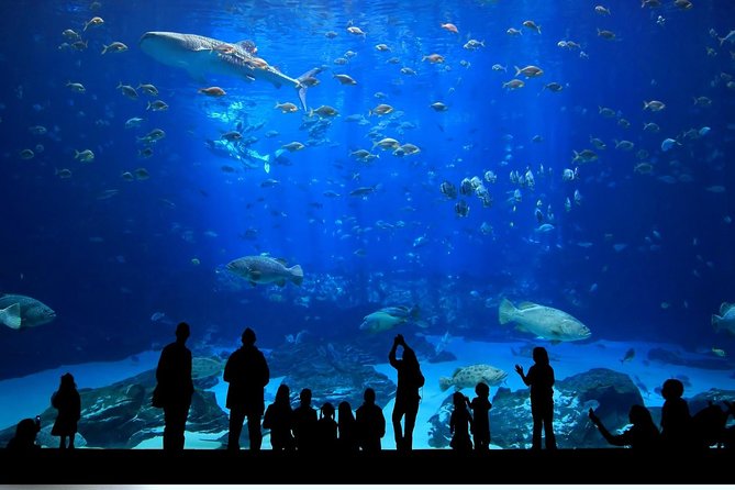 Istanbul Aquarium and Aqua Florya Independent Shopping Trip - Optional 5D Cinema: Worth It If You Like Extra Effects