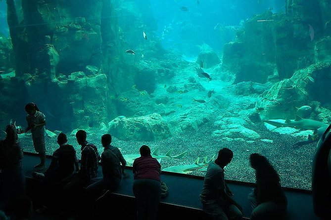 Istanbul Aquarium and Aqua Florya Independent Shopping Trip - Aqua Florya Free Time: Shopping, Eating, and Sea Views