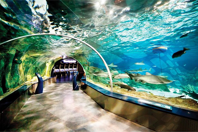Istanbul Aquarium and Aqua Florya Independent Shopping Trip - Price and What You Are Really Paying For