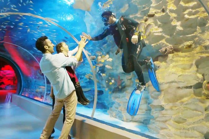 Istanbul Aquarium and Aqua Florya Independent Shopping Trip - Istanbul Aquarium: 16 Aquatic Worlds and Major-Tank Watching