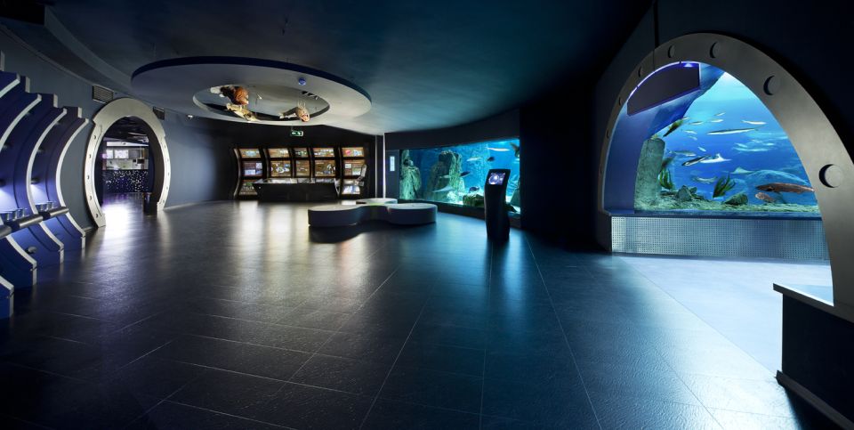 Istanbul Aquarium and Aqua Florya Shopping Mall Tour - Should you book the Istanbul Aquarium and Aqua Florya tour?