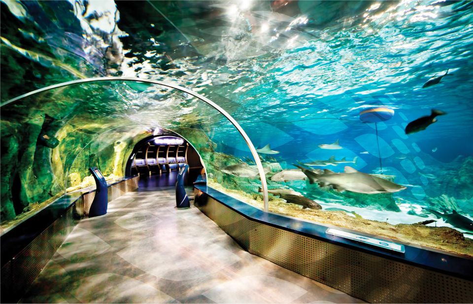 Istanbul Aquarium and Aqua Florya Shopping Mall Tour - Getting to Aqua Florya: pickup that keeps your day on track